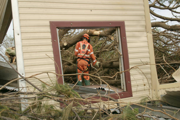 Best Hazardous Tree Removal  in Fayetteville, AL