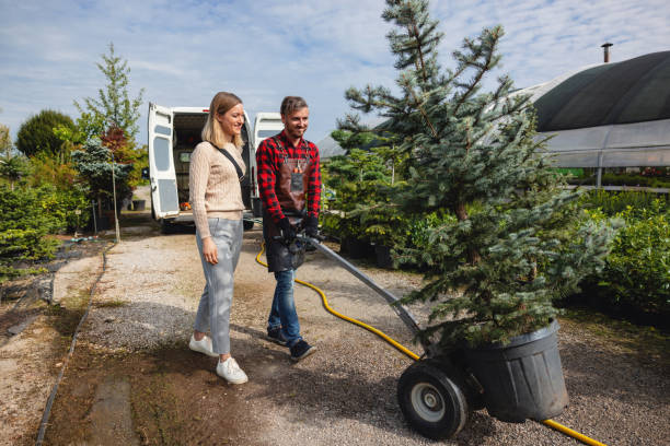 Best Lawn Grading and Leveling  in Fayetteville, AL